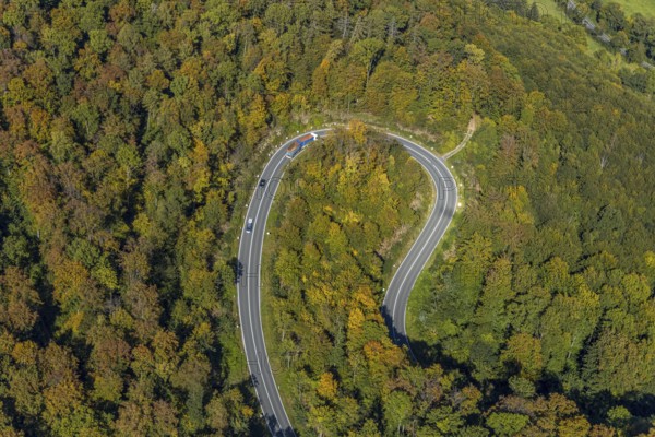 Aerial view, serpentine road in forest area, north of Jakobsberg, Beverungen, East Westphalia-Lippe, North Rhine-Westphalia, Germany, DE, Europe, autumn colours, state road L838, aerial view, aerial photography, aerial photography, OLWBUCH, OWL, OWL-Buch, East Westphalia, serpentine shape, road traffic, overview, bird's-eye view, birds-eyes view, autumn forest, overview
