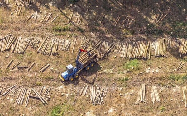 Aerial photo, deforestation, harvester, nature reserve Eidmecketalsystem, Bestwig, Sauerland, North Rhine-Westphalia, Germany, deforestation, Arnsberg forest, tree trunks, DE, Europe, aerial photo, aerial photography, aerial photography, mixed forest, nature reserve Schlebornbach-Düstere Siepen, overview, bird's eye view, forest, forest area, forest damage, forest dieback, birds-eyes view, overview, timber industry, forestry, forestry, too dry summer, spruce stand