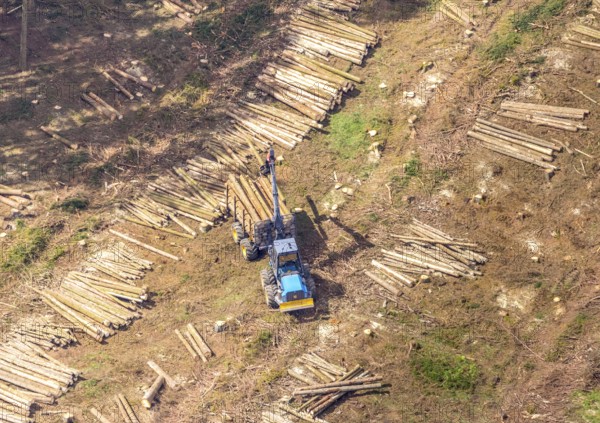 Aerial photo, deforestation, harvester, nature reserve Eidmecketalsystem, Bestwig, Sauerland, North Rhine-Westphalia, Germany, deforestation, Arnsberg forest, tree trunks, DE, Europe, aerial photo, aerial photography, aerial photography, mixed forest, nature reserve Schlebornbach-Düstere Siepen, overview, bird's eye view, forest, forest area, forest damage, forest dieback, birds-eyes view, overview, timber industry, forestry, forestry, too dry summer, spruce stand