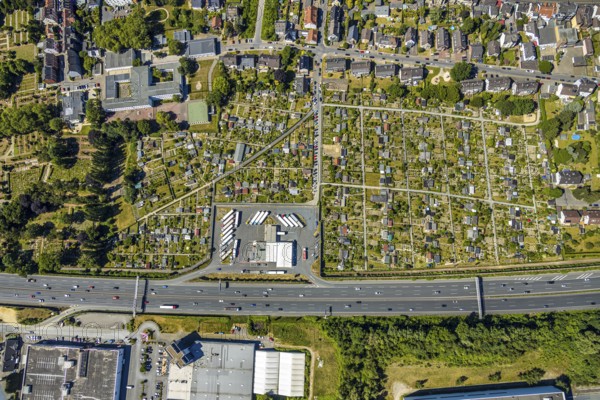 Aerial view, Shell petrol station, Vietingstraße, truck parking, motorway A40, allotment garden site Centrum Morgensonne, KGV am Dückerweg, Bochum-Wattenscheid, Ruhr area, North Rhine-Westphalia, Germany, education, educational institution, DE, Europe, shapes and colours, community garden, freight transport, freight transport, KGV, allotment garden, allotment garden site, allotment garden association, allotment gardener association, educational institute, aerial photography, aerial photography, aerial photography, car parks, passenger traffic, Pestalozzi School, allotment garden, school, road traffic, petrol station, overview, traffic volume, bird's-eye view, overview, nature and road traffic, traffic infrastructure, Ruhr Expressway