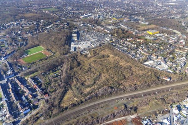 Aerial photograph, Hannibal slag heap, Phönixberg, Hofstede, Bochum, Ruhr area, North Rhine-Westphalia, Germany, DE, Dorstener Straße, Europe, slag heap, allotment garden site In der Provitze, aerial photograph, aerial photography, aerial photography, park, sports club Phönix Bochum 1910 e.V., overview, bird's-eye view, woodland, birds-eyes view, overview