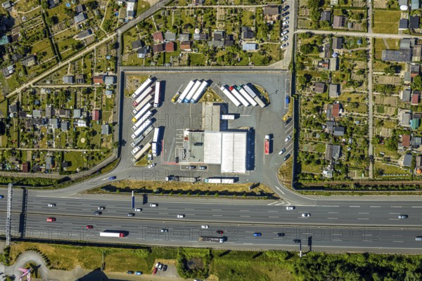 Aerial view, Shell petrol station, Vietingstraße, truck parking, motorway A40, allotment garden site Centrum Morgensonne, KGV am Dückerweg, Bochum-Wattenscheid, Ruhr area, North Rhine-Westphalia, Germany, DE, Europe, shapes and colours, community garden, freight transport, freight traffic, KGV, allotment garden, allotment garden site, allotment garden association, allotment gardener association, aerial view, aerial photography, aerial photography, car parks, passenger traffic, allotment garden, road traffic, petrol station, overview, traffic volume, bird's-eye view, overview, nature and road traffic, traffic infrastructure, Ruhr expressway