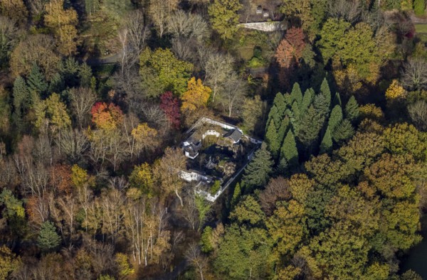 Botanical Garden, Chinese Garden, Universitätsstraße, Querenburg, Bochum, Ruhr Area, North Rhine-Westphalia, Germany, DE, Europe, Garden, Scholar's Garden, autumn colours, aerial view, aerial photograph, aerial photography, aerial photography, mixed forest, park, overview, bird's eye view, forest area, birds-eyes view, overview