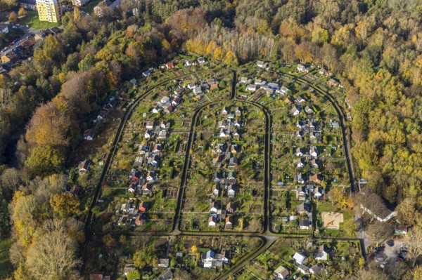 Allotment garden association Rottmannshof e.V., Harpener Heide, Bochum, North Rhine-Westphalia, Germany, DE, design, relaxation, recreation, Europe, shapes and colours, leisure, community garden, allotment garden, allotment garden site, allotment garden association, aerial view, aerial photograph, aerial photography, aerial photography, Ruhr area, allotment garden, overview, bird's eye view, birds-eyes view, green lung, overview