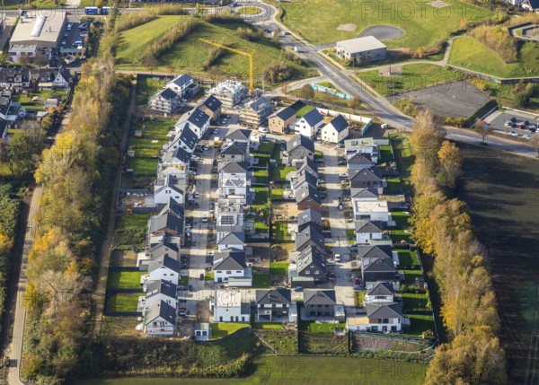 Residential estate Marie-Luise-Tanski-Straße, Bergen, Bochum, Ruhr area, North Rhine-Westphalia, Germany, DE, single-family houses, Europe, property tax, autumn colours, Hiltroper Höhe, hill, real estate, aerial view, aerial photograph, aerial photography, terraced houses, overview, bird's-eye view, residential estate, living and life, residential area, residential houses, quality of life, residential quarter, housing estate, birds-eyes view, overview