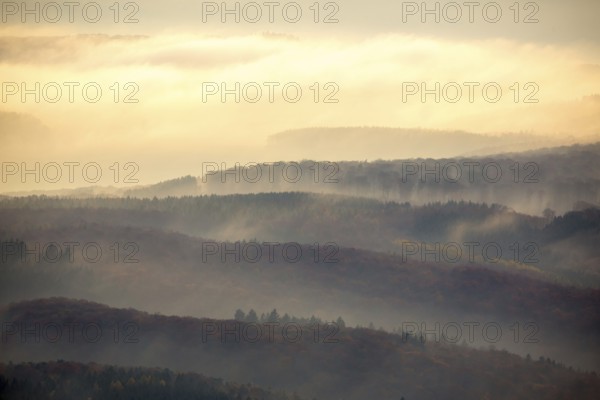 Forests of the Middle Rhine Taunus in the fog, Taunus, forest, Dachsenhausen, Rhine Valley, Rhineland-Palatinate, Germany, Europe, aerial photo, birds-eyes view, aerial photography, aerial photography, overview, bird's eye view