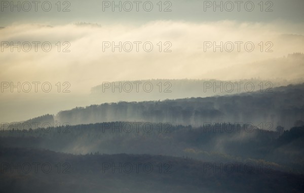 Forests of the Middle Rhine Taunus in the fog, Taunus, forest, Dachsenhausen, Rhine Valley, Rhineland-Palatinate, Germany, Europe, aerial photo, birds-eyes view, aerial photography, aerial photography, overview, bird's eye view