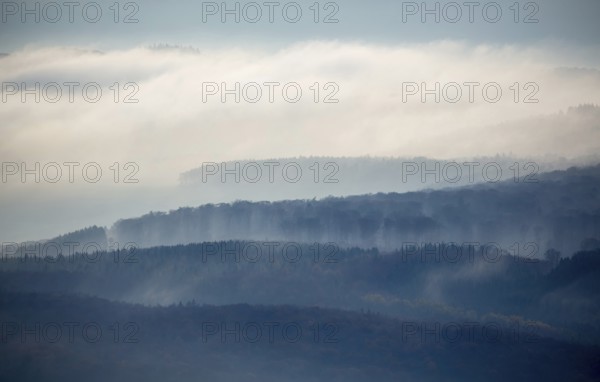 Forests of the Middle Rhine Taunus in the fog, Taunus, forest, Dachsenhausen, Rhine Valley, Rhineland-Palatinate, Germany, Europe, aerial photo, birds-eyes view, aerial photography, aerial photography, overview, bird's eye view