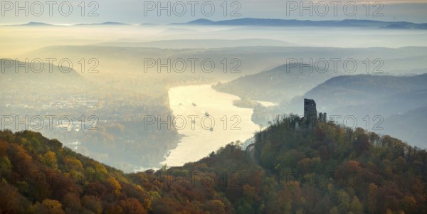 Drachenfels castle ruins against the backdrop of the Rhine, Rhine valley, Rhine, colourful autumn leaves, autumn forest, Königswinter, Siebengebierge between Königswinter and Bad Honnef, autumn leaves, North Rhine-Westphalia, Germany, Europe, aerial photo, birds-eyes view, aerial photograph, aerial photography, aerial photography, overview, bird's eye view