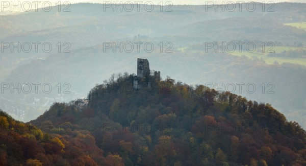 Drachenfels castle ruins, Rhine valley, Rhine, colourful autumn leaves, autumn forest, Königswinter, Siebengebierge between Königswinter and Bad Honnef, autumn leaves, North Rhine-Westphalia, Germany, Europe, aerial view, birds-eyes view, aerial photography, aerial photography, overview, bird's eye view