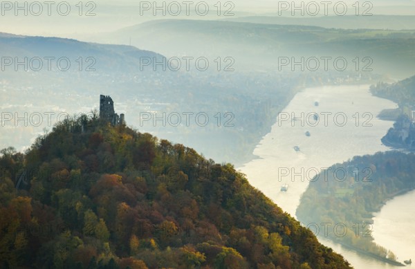 Drachenfels castle ruins against the backdrop of the Rhine, Rhine valley, Rhine, colourful autumn leaves, autumn forest, Königswinter, Siebengebierge between Königswinter and Bad Honnef, autumn leaves, North Rhine-Westphalia, Germany, Europe, aerial photo, birds-eyes view, aerial photograph, aerial photography, aerial photography, overview, bird's eye view