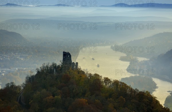 Drachenfels castle ruins against the backdrop of the Rhine, Rhine valley, Rhine, colourful autumn leaves, autumn forest, Königswinter, Siebengebierge between Königswinter and Bad Honnef, autumn leaves, North Rhine-Westphalia, Germany, Europe, aerial photo, birds-eyes view, aerial photograph, aerial photography, aerial photography, overview, bird's eye view