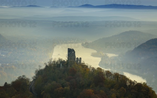 Drachenfels castle ruins against the backdrop of the Rhine, Rhine valley, Rhine, colourful autumn leaves, autumn forest, Königswinter, Siebengebierge between Königswinter and Bad Honnef, autumn leaves, North Rhine-Westphalia, Germany, Europe, aerial photo, birds-eyes view, aerial photograph, aerial photography, aerial photography, overview, bird's eye view