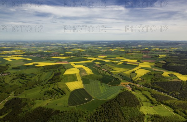 Agricultural fields and rape fields near Heimbach, Heimbach, Eifel, North Rhine-Westphalia, Germany, Europe, aerial view, birds-eyes view, aerial photography, aerial photography, overview, overview, bird's eye view