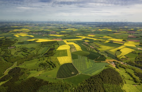 Agricultural fields and rape fields near Heimbach, Heimbach, Eifel, North Rhine-Westphalia, Germany, Europe, aerial view, birds-eyes view, aerial photography, aerial photography, overview, overview, bird's eye view