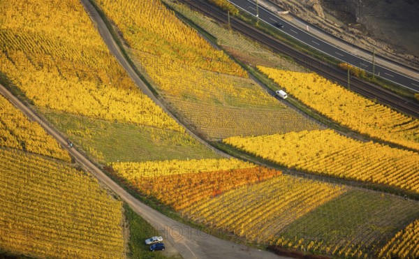 Rhine valley on the left bank of the Rhine with vineyards and autumn leaves, steep vineyards, paths in the vineyard, Boppard, Rhine valley, Rhineland-Palatinate, Germany, Europe, aerial view, birds-eyes view, aerial photography, aerial photography, overview, bird's eye view