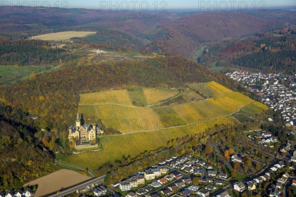 Vineyards in autumn, vine leaves, late harvest, Arensfels Castle, owned by Baron Antonius Geyr von Schweppenburg, Bad Breisig, Neuwied district, Rhineland-Palatinate, Germany, Europe, aerial view, birds-eyes view, aerial photography, aerial photography, overview, bird's eye view