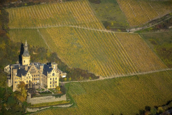 Vineyards in autumn, vine leaves, late harvest, Arensfels Castle, owned by Baron Antonius Geyr von Schweppenburg, Bad Breisig, Neuwied district, Rhineland-Palatinate, Germany, Europe, aerial view, birds-eyes view, aerial photography, aerial photography, overview, bird's eye view