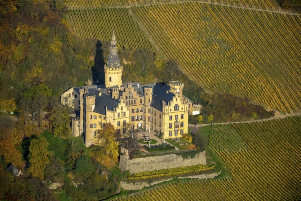 Vineyards in autumn, vine leaves, late harvest, Arensfels Castle, owned by Baron Antonius Geyr von Schweppenburg, Bad Breisig, Neuwied district, Rhineland-Palatinate, Germany, Europe, aerial view, birds-eyes view, aerial photography, aerial photography, overview, bird's eye view