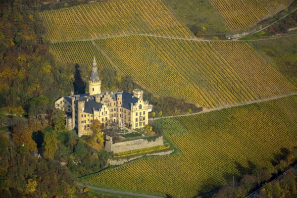 Vineyards in autumn, vine leaves, late harvest, Arensfels Castle, owned by Baron Antonius Geyr von Schweppenburg, Bad Breisig, Neuwied district, Rhineland-Palatinate, Germany, Europe, aerial view, birds-eyes view, aerial photography, aerial photography, overview, bird's eye view