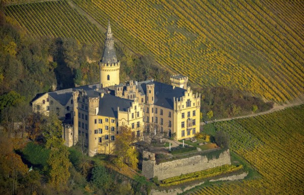 Vineyards in autumn, vine leaves, late harvest, Arensfels Castle, owned by Baron Antonius Geyr von Schweppenburg, Bad Breisig, Neuwied district, Rhineland-Palatinate, Germany, Europe, aerial view, birds-eyes view, aerial photography, aerial photography, overview, bird's eye view