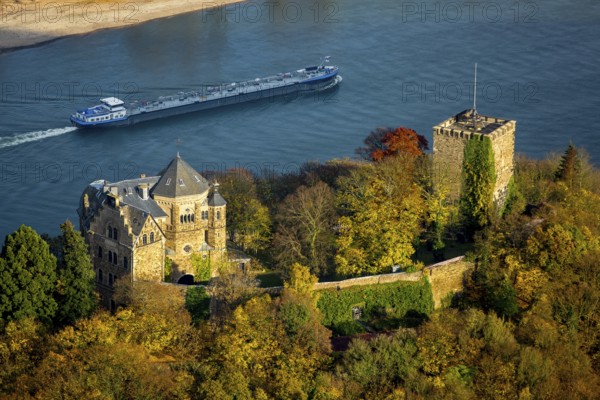 Rheineck Castle in the Rhine Valley, Rhine, autumn leaves, ship, freighter, inland navigation, gas tanker, Bad Breisig, Ahrweiler district, Rhineland-Palatinate, Germany, Europe, aerial view, birds-eyes view, aerial photography, aerial photography, overview, bird's eye view, spa town