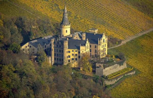 Vineyards in autumn, vine leaves, late harvest, Arensfels Castle, owned by Baron Antonius Geyr von Schweppenburg, Bad Breisig, Neuwied district, Rhineland-Palatinate, Germany, Europe, aerial view, birds-eyes view, aerial photography, aerial photography, overview, bird's eye view