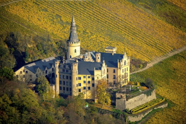 Vineyards in autumn, vine leaves, late harvest, Arensfels Castle, owned by Baron Antonius Geyr von Schweppenburg, Bad Breisig, Neuwied district, Rhineland-Palatinate, Germany, Europe, aerial view, birds-eyes view, aerial photography, aerial photography, overview, bird's eye view