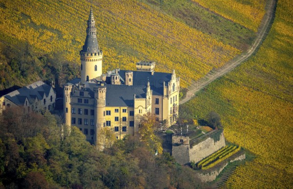 Vineyards in autumn, vine leaves, late harvest, Arensfels Castle, owned by Baron Antonius Geyr von Schweppenburg, Bad Breisig, Neuwied district, Rhineland-Palatinate, Germany, Europe, aerial view, birds-eyes view, aerial photography, aerial photography, overview, bird's eye view