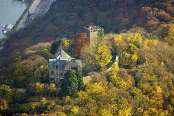Rheineck Castle in the Rhine Valley, Rhine, autumn foliage, Bad Breisig, Ahrweiler district, Rhineland-Palatinate, Germany, Europe, aerial view, birds-eyes view, aerial photography, aerial photography, overview, bird's eye view, spa town