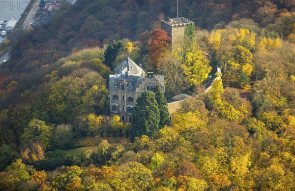 Rheineck Castle in the Rhine Valley, Rhine, autumn foliage, Bad Breisig, Ahrweiler district, Rhineland-Palatinate, Germany, Europe, aerial view, birds-eyes view, aerial photography, aerial photography, overview, bird's eye view, spa town