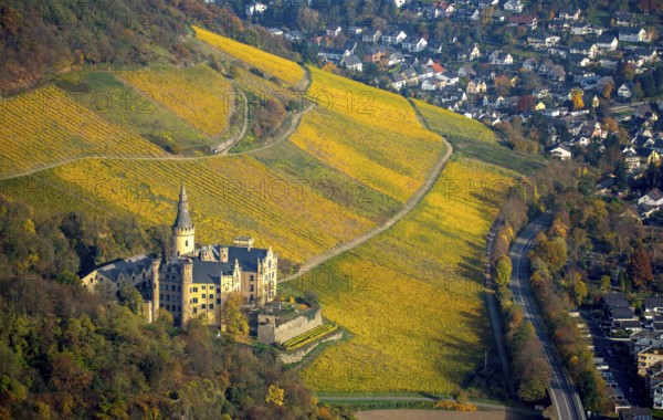 Vineyards in autumn, vine leaves, late harvest, Arensfels Castle, owned by Baron Antonius Geyr von Schweppenburg, Bad Breisig, Neuwied district, Rhineland-Palatinate, Germany, Europe, aerial view, birds-eyes view, aerial photography, aerial photography, overview, bird's eye view