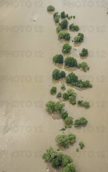 Aerial photograph, Ruhr floods, rows of trees in the Ruhr water, flooding, Blankenstein, Hattingen, Ruhr area, North Rhine-Westphalia, Germany, DE, Europe, birds-eyes view, aerial photograph, aerial photography, aerial photography, overview, bird's eye view, Ruhr floods, heavy rain, flood of the century