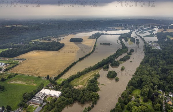 Aerial photo, Ruhr flood, flooding, Ruhr between Essen-Kettwig and Mülheim on the A52 motorway bridge, Kettwig, Essen, Ruhr area, North Rhine-Westphalia, Germany, DE, Europe, birds-eyes view, aerial photography, aerial photography, overview, bird's eye view, floods, floods of the century