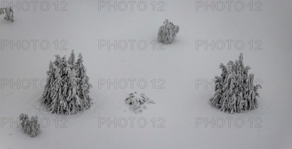 Aerial view of the snowy winter landscape of Winterberg below the Kahler Asten with snow-covered trees and firs in the Sauerland in North Rhine-Westphalia, Germany, Sauerland, Europe, aerial photo, birds-eyes view, aerial photography, aerial photography, overview, bird's eye view, lockdown, closed winter landscape, corona lockdown, deserted, snow, winter weather, corona-related lockdown, high heath in winter