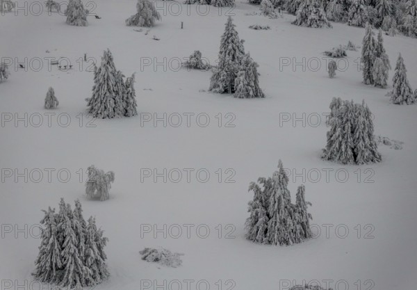 Aerial view of the snowy winter landscape of Winterberg below the Kahler Asten with snow-covered trees and firs in the Sauerland in North Rhine-Westphalia, Germany, Sauerland, Europe, aerial photo, birds-eyes view, aerial photography, aerial photography, overview, bird's eye view, lockdown, closed winter landscape, corona lockdown, deserted, snow, winter weather, corona-related lockdown, high heath in winter