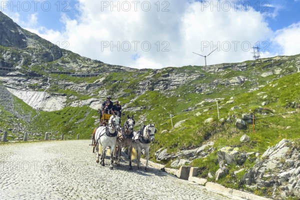 Old historic horse-drawn carriage with double team of five horses for tourist ride on historic St. Gotthard Pass road Tremola Gotthard Pass Alpine pass mountain road with cobblestones, Ticino, Ticino, Switzerland