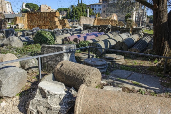 Fragments of ancient columns collected on the floor of the Roman Forum, Roman Forum, Rome, Lazio, Italy