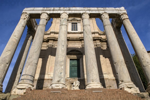 Steep view from ground level of Via Sacra in Augustan times in antiquity on columns made of Cipollin marble from 141 erected temple of Antoninus uChurch of Faustina with columns made of Cipollin marble from antiquity, from 7th century transformation integrated into Christian church today San Lorenzo in Miranda, Forum Romanum, Rome, Latium, Italy