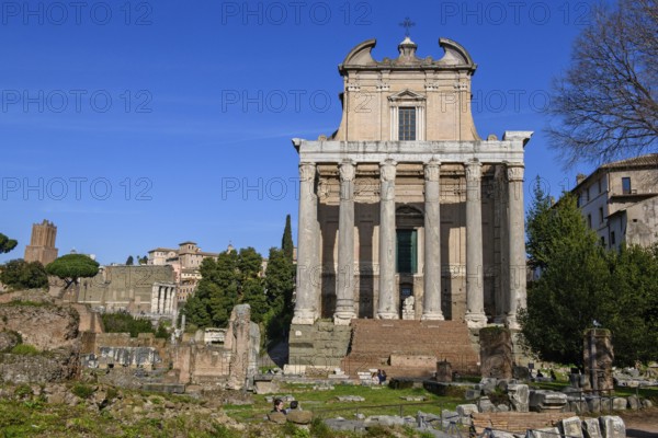 View of the former temple of Antoninus uChurch of Faustina with columns made of Cipollin marble from antiquity, converted into a Christian church from the 7th century, today San Lorenzo in Miranda, Roman Forum, Rome, Lazio, Italy