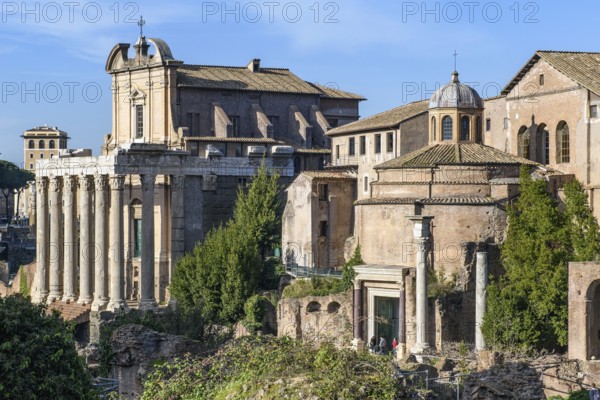 View to the left of 17 columns of Cipollin marble from the temple of Antoninus and Faustina from antiquity, part of the Roman Catholic church of San Lorenzo in Miranda since the 11th century, in the right half of the picture the temple of Romulus from antiquity, Roman Forum, Rome, Lazio, Italy