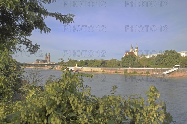 Cityscape with Gothic cathedral, New River Bridge and late Romanesque St. Johannis Church, church towers, banks of the Elbe, Elbe, Magdeburg Cathedral, St. Katharina, Magdeburg, Saxony-Anhalt, Germany