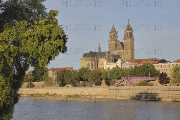 Cityscape with Gothic cathedral, city wall with defence defence tower Kiek in de Köken and building of the waterways and shipping office with battlements, banks of the river Schlein, city fortifications, banks of the Elbe, Elbe, Magdeburg Cathedral, St. Katharina, Magdeburg, Saxony-Anhalt, Germany