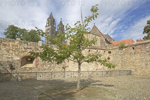 Medieval bastion Cleve with defence defence tower Cleve and Gothic Magdeburg Cathedral, St. Mauritius and St. Katharina, city fortifications, Fürstenwall, Magdeburg, Saxony-Anhalt, Germany