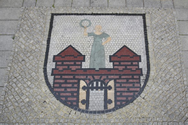 City coat of arms, floor mosaic, paving stones, floor, Old Town Hall, Old Market Square, Magdeburg, Saxony-Anhalt, Germany