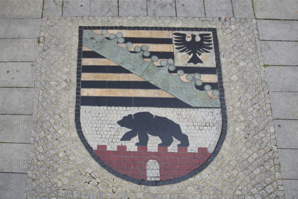 Saxony-Anhalt coat of arms, floor mosaic, paving stones, floor, Old Town Hall, Old Market, Magdeburg, Saxony-Anhalt, Germany