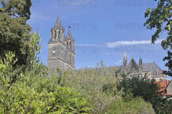 Gothic Cathedral of St Mauritius and St Katharina with twin towers, Magdeburg Cathedral, Magdeburg, Saxony-Anhalt, Germany