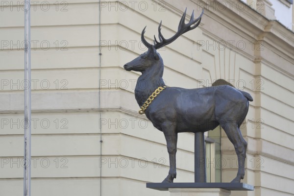 Stag column with stag statue, stag figure with golden collar, golden chain, Old Town Hall, Old Market Square, Magdeburg, Saxony-Anhalt, Germany