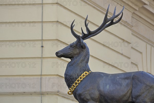 Stag column with stag statue, stag figure with golden collar, golden chain, detail, Old Town Hall, Old Market Square, Magdeburg, Saxony-Anhalt, Germany