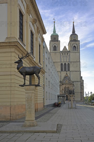 Stag column with stag statue and St John's Church, stag statue, Old Town Hall, Old Market Square, Magdeburg, Saxony-Anhalt, Germany